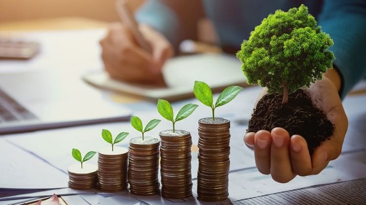 Turning Financial Struggles Into Sustainable Growth